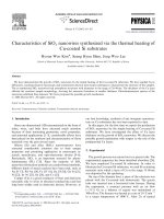 Characteristics of siox nanowires synthesized via the thermal heating of cu coated si substrates