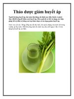 Thảo dược giảm huyết áp ppt