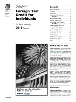 Foreign Tax Credit for Individuals pdf