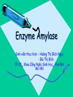 TIỂU LUẬN enzyme amylase