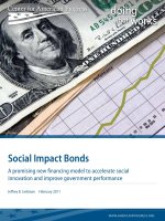 Social Impact Bonds - A promising new financing model to accelerate social innovation and improve government performance pot