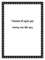 Vitamin B ngừa gãy xương sau đột quỵ pptx