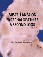 MISCELLANEA ON ENCEPHALOPATHIES – A SECOND LOOK pptx
