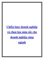 Chiến lược doanh nghiệp và chọn lựa màu sắc cho doanh nghiệp cùng ngành doc