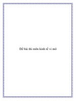Đề bài thi môn kinh tế vi mô doc