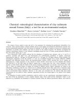 Chemical mineralogical characterisation of clay sediments around ferrara (italy) a tool for an environme