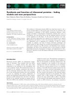 Báo cáo khoa học: Synthesis and function of ribosomal proteins – fading models and new perspectives pptx