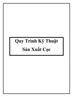 Quy Trình Kỹ Thuật Sản Xuất Cọc potx