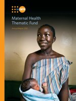 Maternal Health Thematic Fund Annual Report 2011 pptx