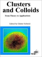 Clusters and Colloids From Theory to Applications ppt