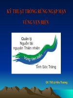 KỸ THUẬT TRỒNG RỪNG NGẬP MẶN VÙNG VEN BIỂN ppt