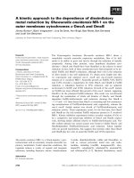 Báo cáo khoa học: A kinetic approach to the dependence of dissimilatory metal reduction by Shewanella oneidensis MR-1 on the outer membrane cytochromes c OmcA and OmcB potx