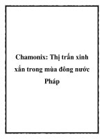 Chamonix: Thị trấn xinh xắn trong mùa đông nước Pháp docx