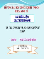 ĐỀ TÀI: TÌM HIỂU VỀ DOANH NGHIỆP TƯ NHÂN pdf