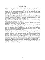 Du lịch chợ nỗi trên sông sài gòn