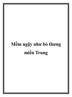 Mềm ngậy như bò thưng miền Trung docx