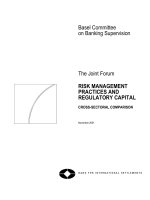 The Joint Forum RISK MANAGEMENT PRACTICES AND REGULATORY CAPITAL docx