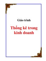 Thống kê trong kinh doanh doc