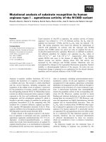 Báo cáo khoa học: Mutational analysis of substrate recognition by human arginase type I ) agmatinase activity of the N130D variant pot