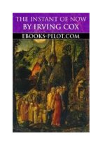 The Instant of Now potx