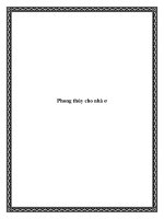 Phong thủy cho nhà ơ pot