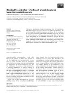 Báo cáo khoa học: Kinetically controlled refolding of a heat-denatured hyperthermostable protein pot
