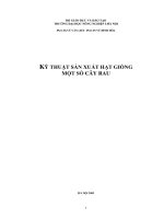 KỸ THUẬT SẢN XUẤT HẠT GIỐNG docx