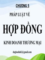 Chương 5 pháp luật về hợp đồng