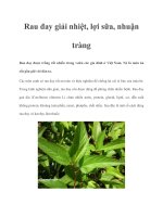 Rau đay giải nhiệt, lợi sữa, nhuận tràng pot