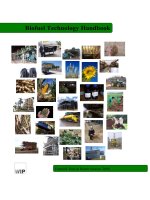 Biofuel Technology Handbook Dominik Rutz & Rainer Janssen 2008 pot