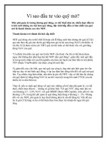 Vì sao đầu tư vào quỹ mở? pdf