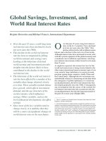 Global Savings, Investment, and World Real Interest Rates docx