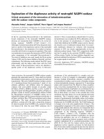 Báo cáo Y học: Exploration of the diaphorase activity of neutrophil NADPH oxidase Critical assessment of the interaction of iodonitrotetrazolium with the oxidase redox components doc