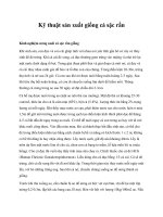 Kỹ thuật sản xuất giống cá sặc rằn pot