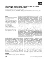 Báo cáo khoa học: Autonomous oscillations in Saccharomyces cerevisiae during batch cultures on trehalose pot