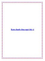 Kem chanh chua ngọt thú vị. pptx