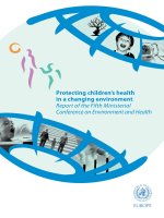 Protecting Children''''s Health In A Changing Environment - Report Of The Fifth Ministerial Conference On Environment And Health.pdf potx