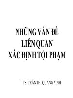 bài giảng những vấn đề liên quan xác định tội phạm - ts. trần thị quang vinh