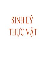 THỰC VẬT CẢI TẠO MÔI TRƯỜNG doc