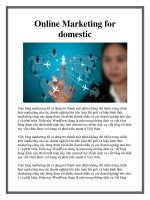 Online Marketing for domestic docx