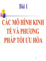 CÁC MÔ HÌNH KINH TẾ VÀ PHƯƠNG PHÁP TỐI ƯU HÓA docx