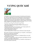 VƯƠNG QUỐC KHỈ docx