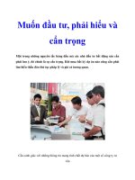 Muốn đầu tư, phải hiểu và cẩn trọng doc