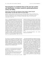 Báo cáo khoa học: Characterization of recombinant forms of the yeast Gas1 protein and identiﬁcation of residues essential for glucanosyltransferase activity and folding pot