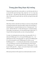 Trung gian lũng đoạn thị trường ppt