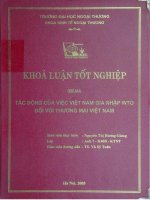 Tác động của việc Việt Nam gia nhập WTO đối với thương mại Việt Nam