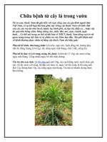 Chữa bệnh từ cây lá trong vườn pdf