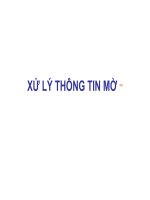 XỬ LÝ THÔNG TIN MỜ - MỞ ĐẦU pot