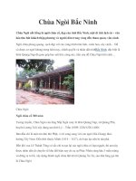 Chùa Ngòi Bắc Ninh doc