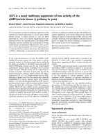 Báo cáo khóa học: SUT2 is a novel multicopy suppressor of low activity of the cAMP/protein kinase A pathway in yeast docx